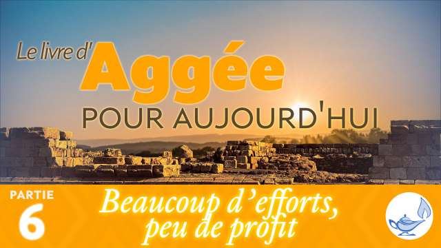 Beaucoup d’efforts, peu de profit