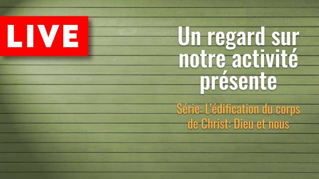 Un regard sur notre activité présente